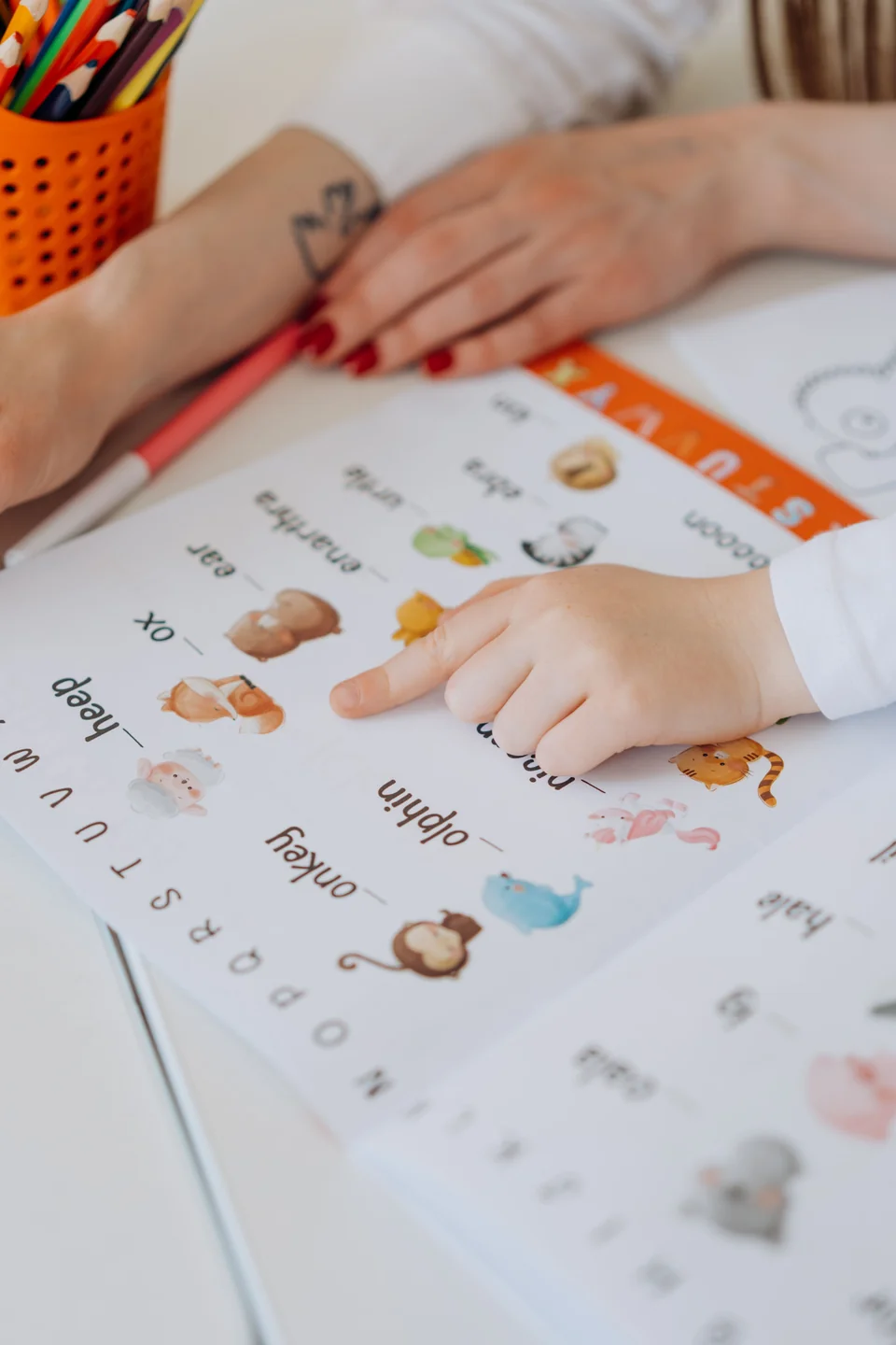 Anak menunjuk gambar hewan di buku alfabet bergambar