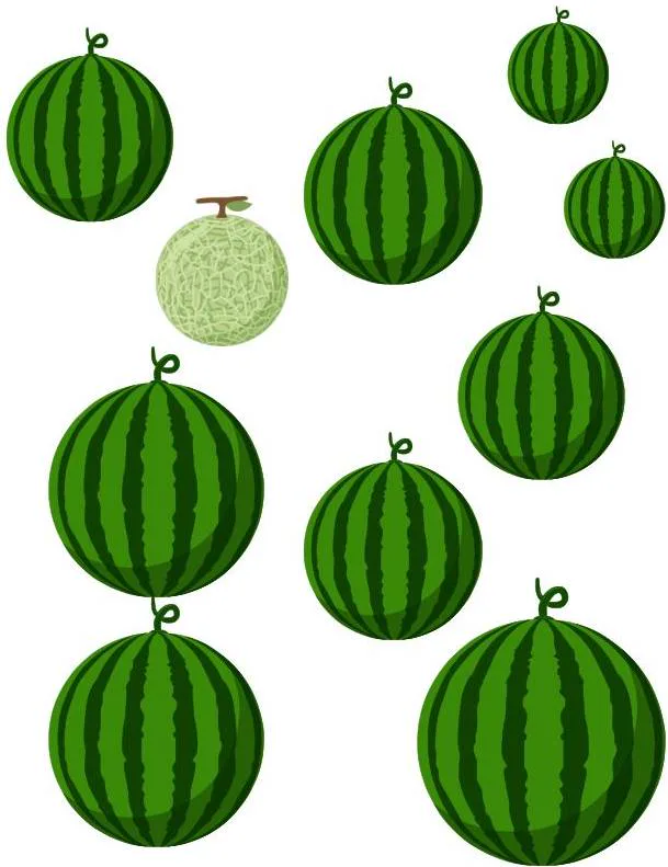 Aktivitas cari yang berbeda — semangka dan melon